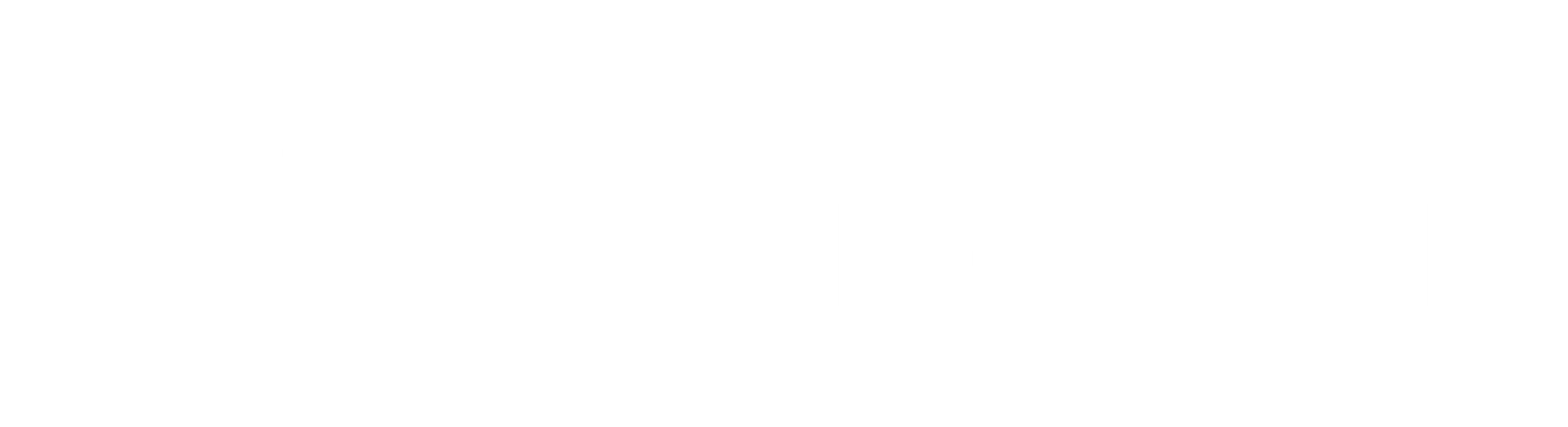 Zinad Consulting Logo